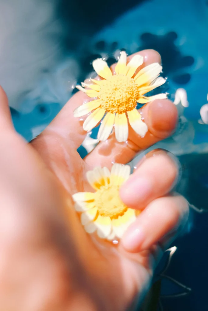 Una mano sostiene flores amarillas al sol