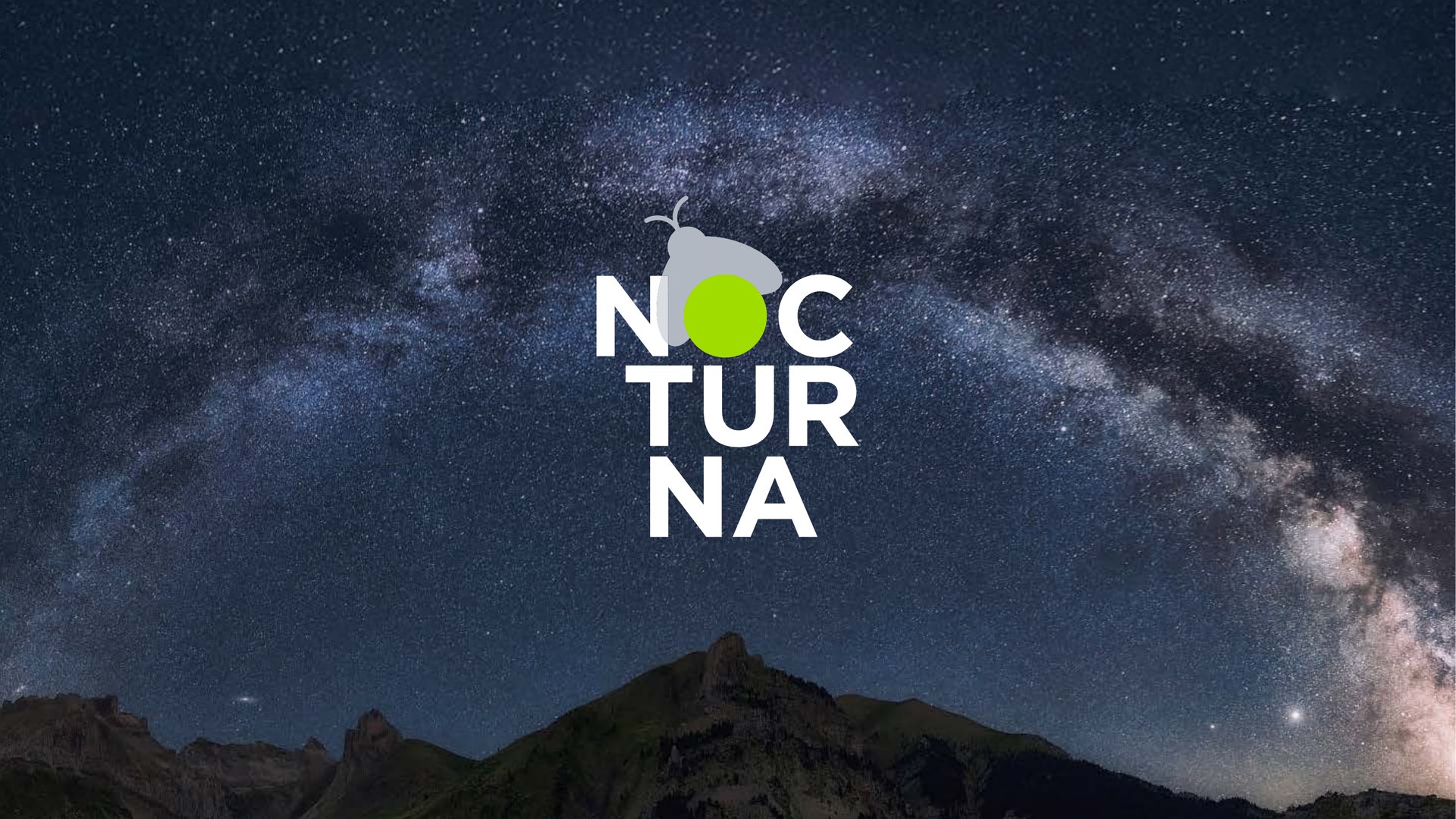 Identidad de Nocturna, proyecto de Allande Stars